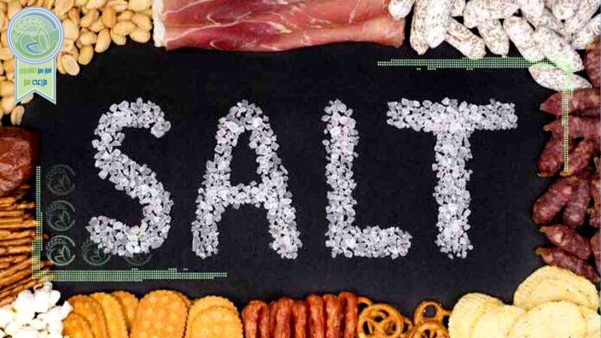 افزایش سطح استرس با استفاده از غذاهای شور