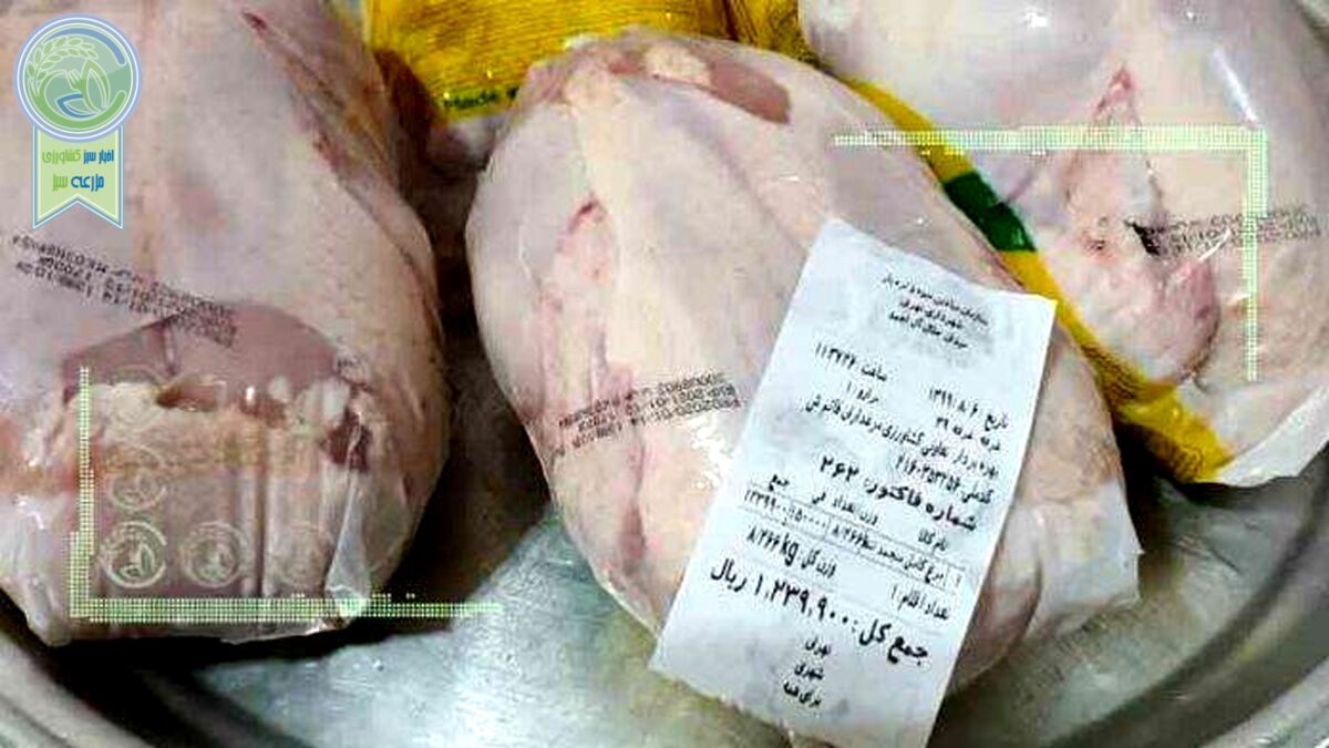 توزیع مرغ با تاریخ انقضای نزدیک