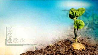 بهبود خاک در مزارع سیب‌زمینی+اینفوگرافی
