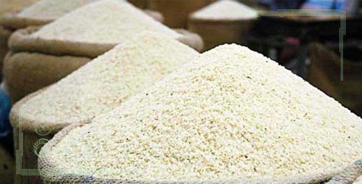 ۹۰ درصد برنج‌های شالیکاران فروش نرفته است