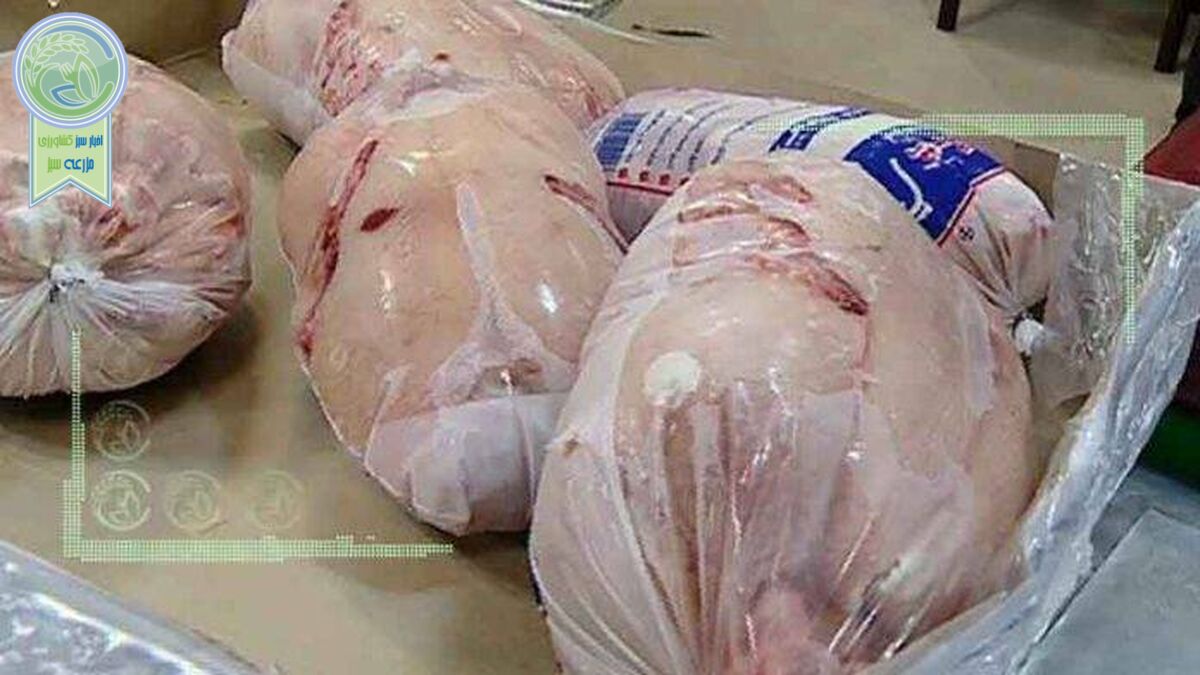 مشکلی در حوزه تولید و مصرف مرغ نداریم