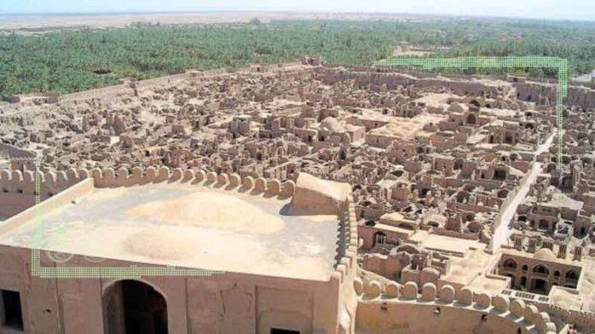 مرگ نخل‌های بم در سکوت مسئولان