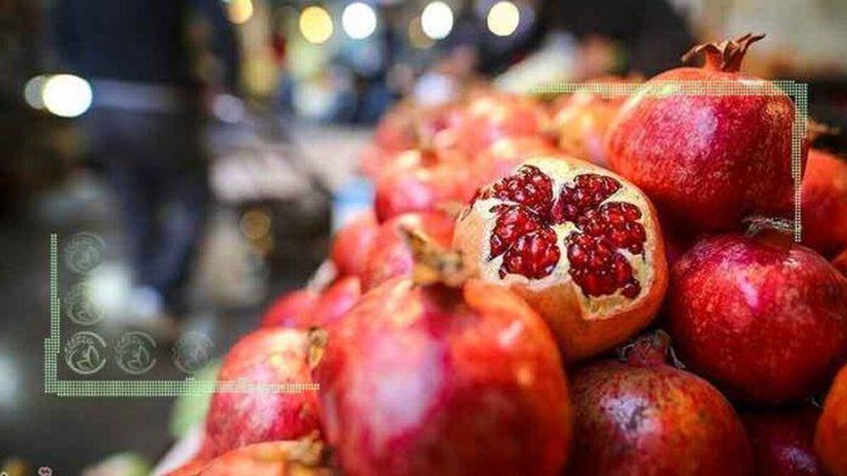 نگران به فروش نرفتن میوه شب یلدا هستیم