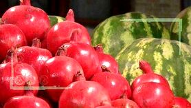 وضع تأمین بازار میوه بلندترین شب سال