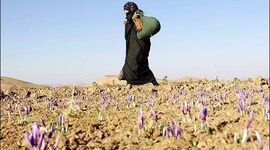 روز جهانی زنان روستایی گرامی باد