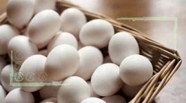 اعلام قیمت جدید تخم مرغ در میادین