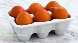 هر بسته تخم مرغ ۶ عددی چند شد؟