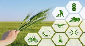 مفهوم کارآفرینی در بخش کشاورزی و موانع اجرایی