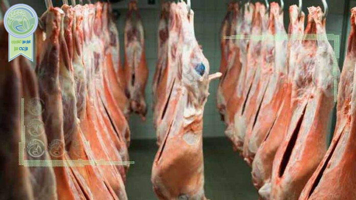 افزایش ۴۰ درصدی قیمت گوشت منجمد