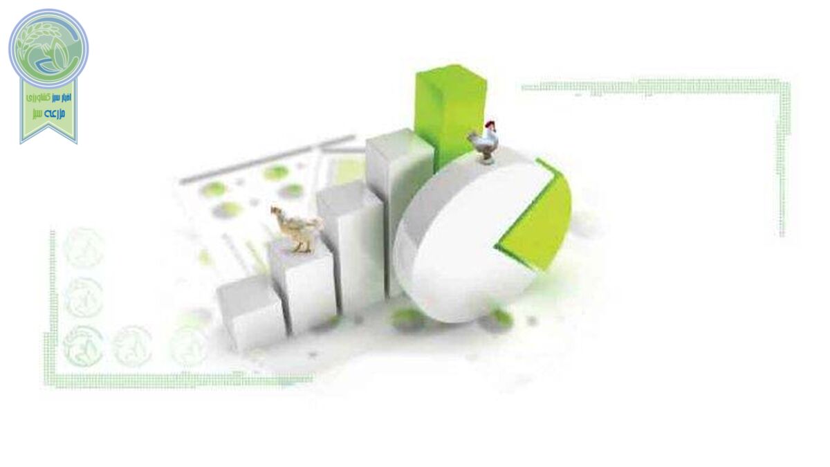 حواشی صنعت مرغداری جهانی
