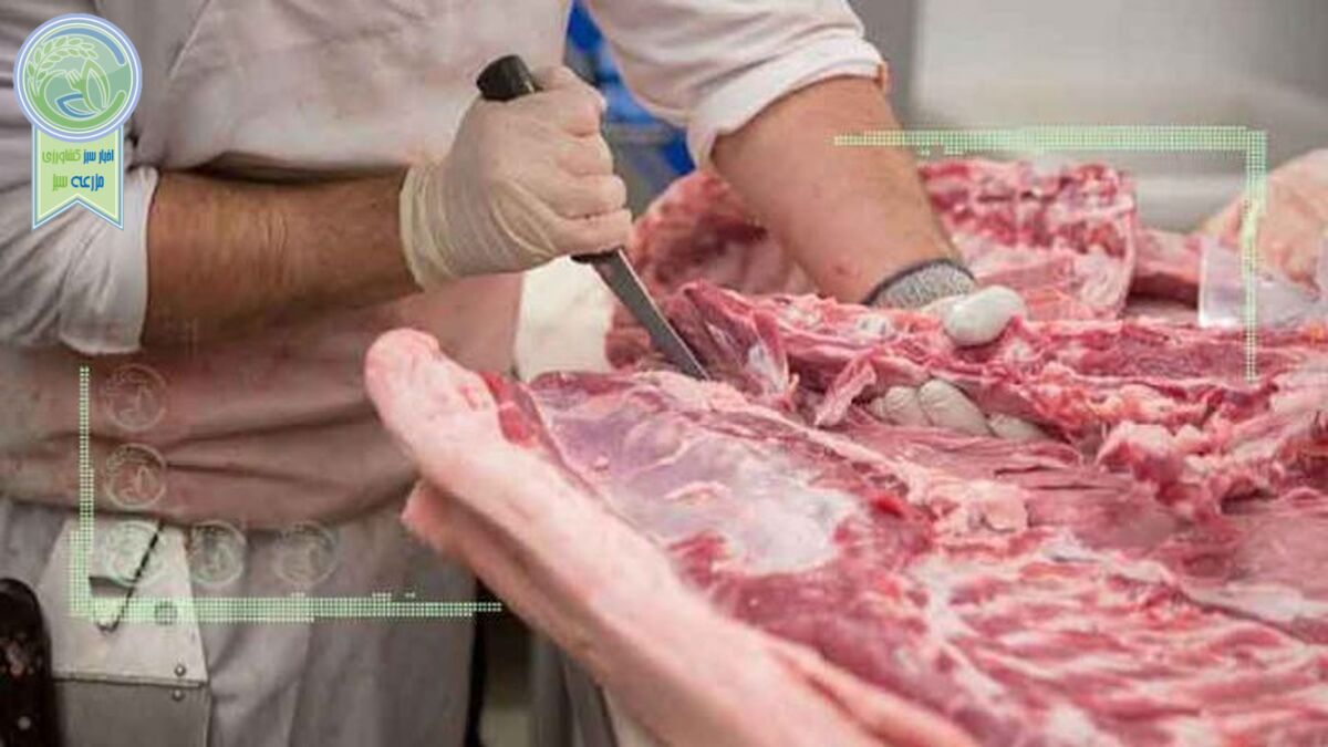 قیمت گوشت به  ۳۰۰ هزار تومان رسید