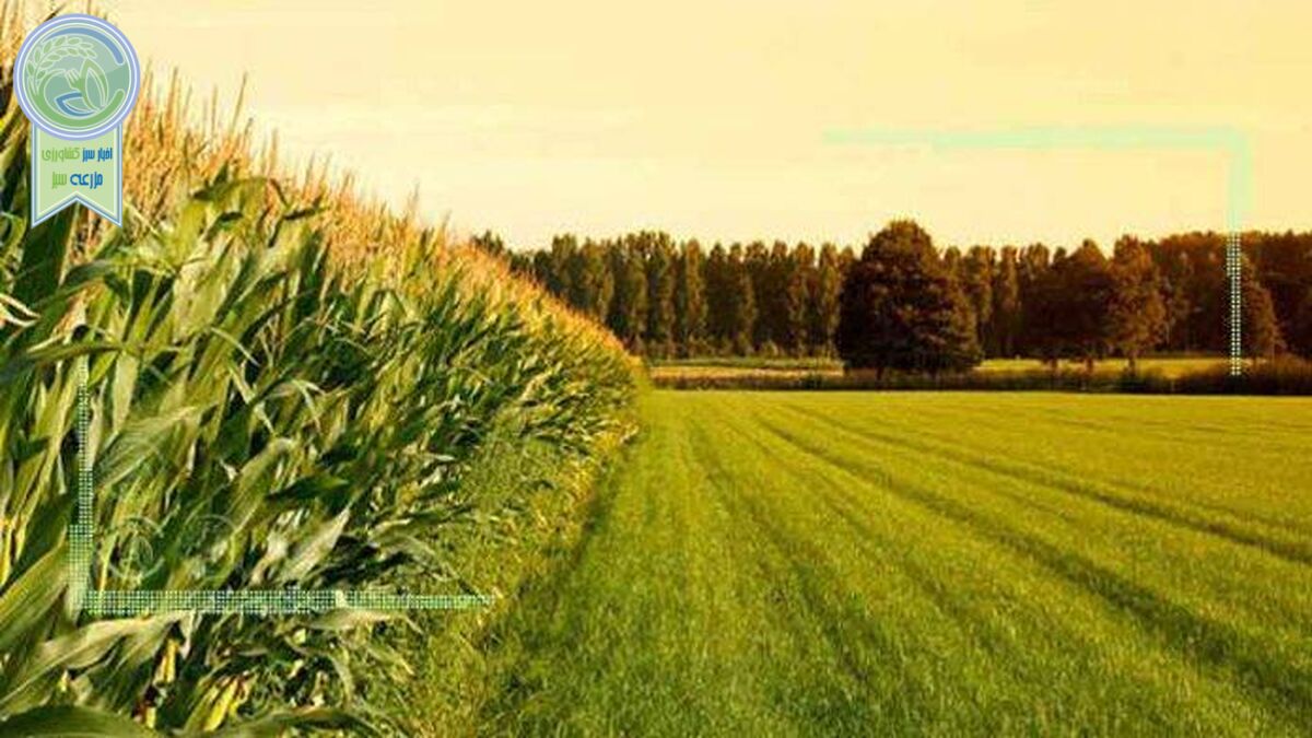 رشد ۱۳۲ درصدی تسهیلات بانک کشاورزی برای کشت گلخانه‌ای