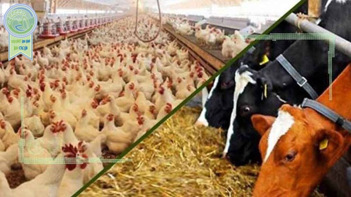 قیمت انواع نهاده‌های دامی و محصولات کشاورزی ۲۱ دی