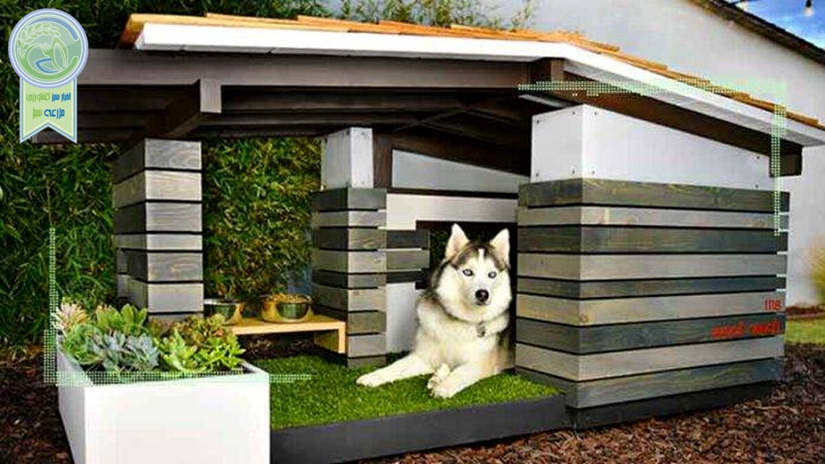 نکاتی درباره باکس حمل سگ و گربه