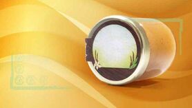 علل کریستالیزه شدن عسل