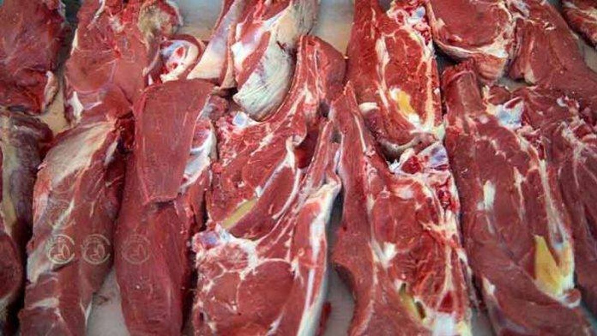 احتمال عرضه گوشت گرم وارداتی از فردا