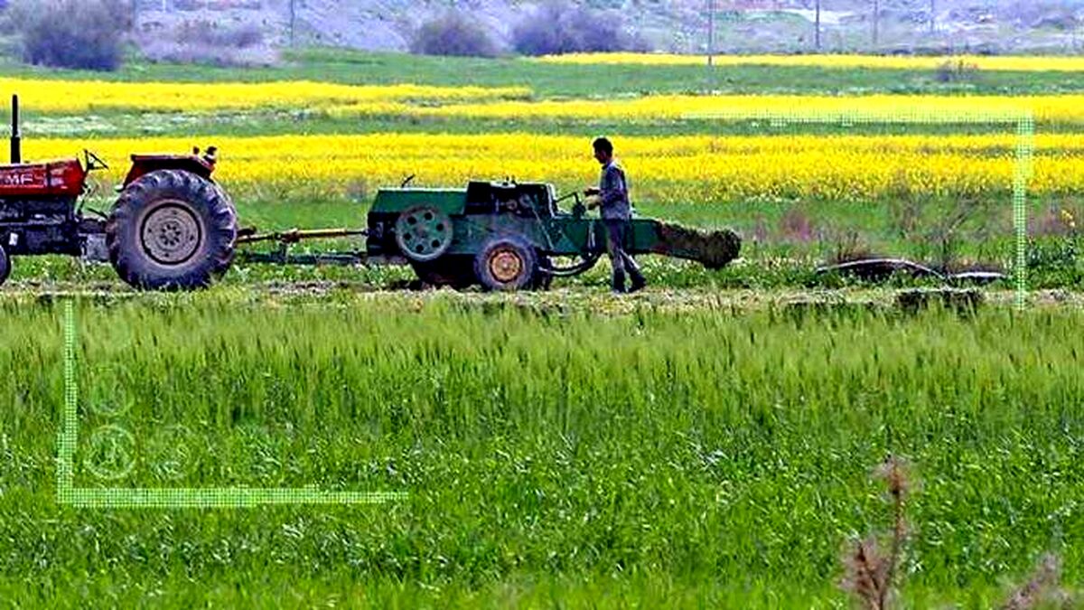 الگوی کشت و ارزیابی تولید گندم(قسمت دوم )