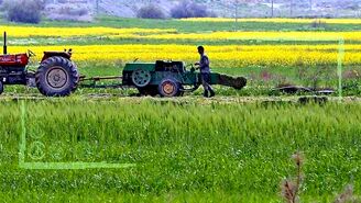 الگوی کشت و ارزیابی تولید گندم(قسمت دوم )