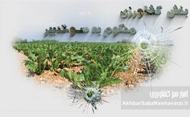 بخش کشاورزی، محکوم به سوءتدبیر