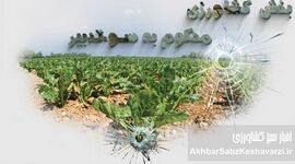 بخش کشاورزی، محکوم به سوءتدبیر