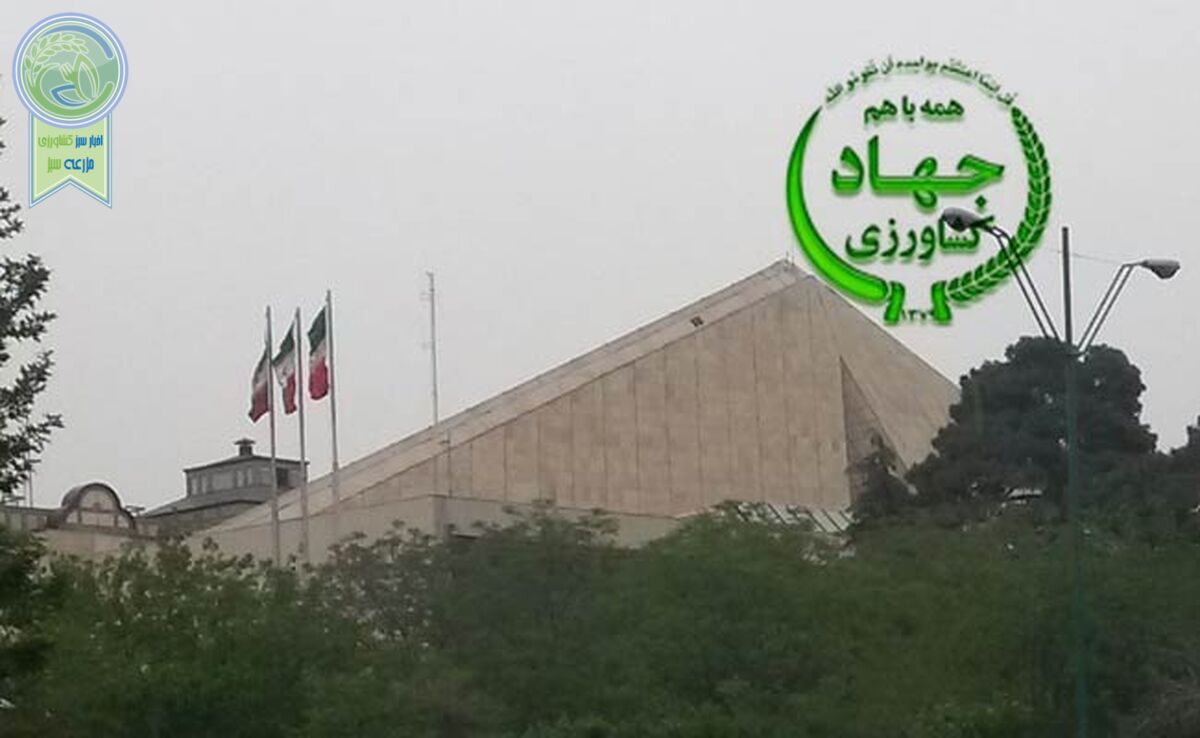 ابقا سعیدراد مانع رأی‌گیری مجلس شد؟!

