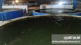مرکز شهید رجایی ساری؛ پیشرو در امور تحقیقات شیلات کشور

