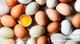 تخم‌مرغ در ماه رمضان گران می‌شود؟ پاسخ صریح تولیدکنندگان