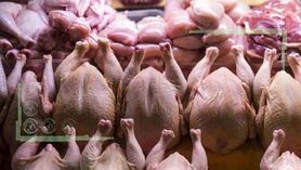 قیمت انواع مرغ در ۹ بهمن ۱۴۰۱