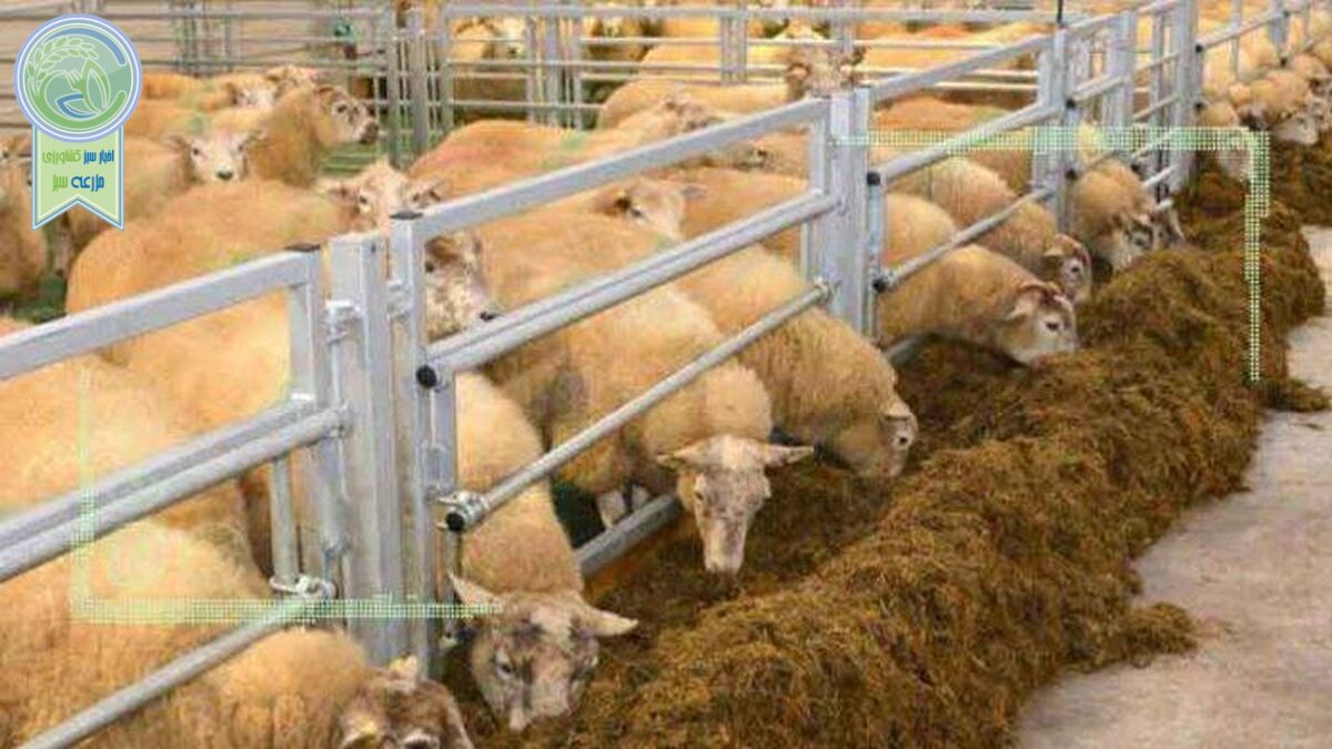 قیمت انواع نهاده های دامی ۲۰ بهمن ۱۴۰۱