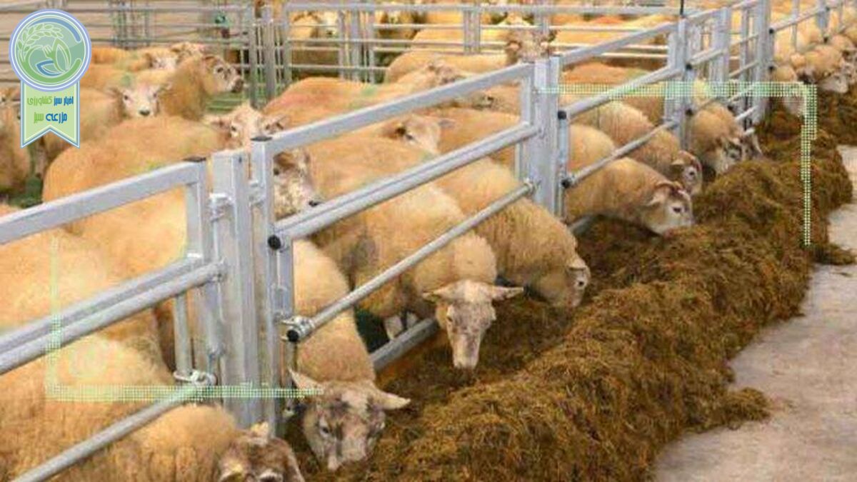 قیمت انواع نهاده های دامی ۲۰ بهمن ۱۴۰۱