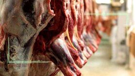 قیمت روز گوشت قرمز در ۲۷ بهمن ۱۴۰۱