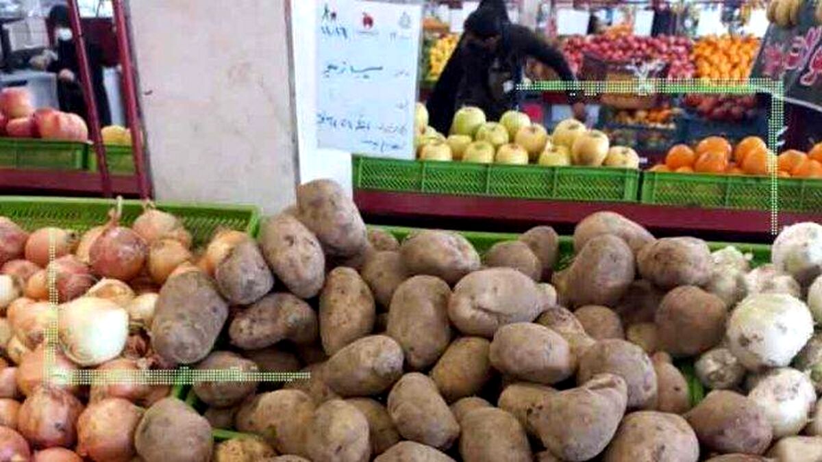 واگذاری مدیریت بازار سیب‌زمینی به بخش خصوصی