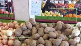 واگذاری مدیریت بازار سیب‌زمینی به بخش خصوصی