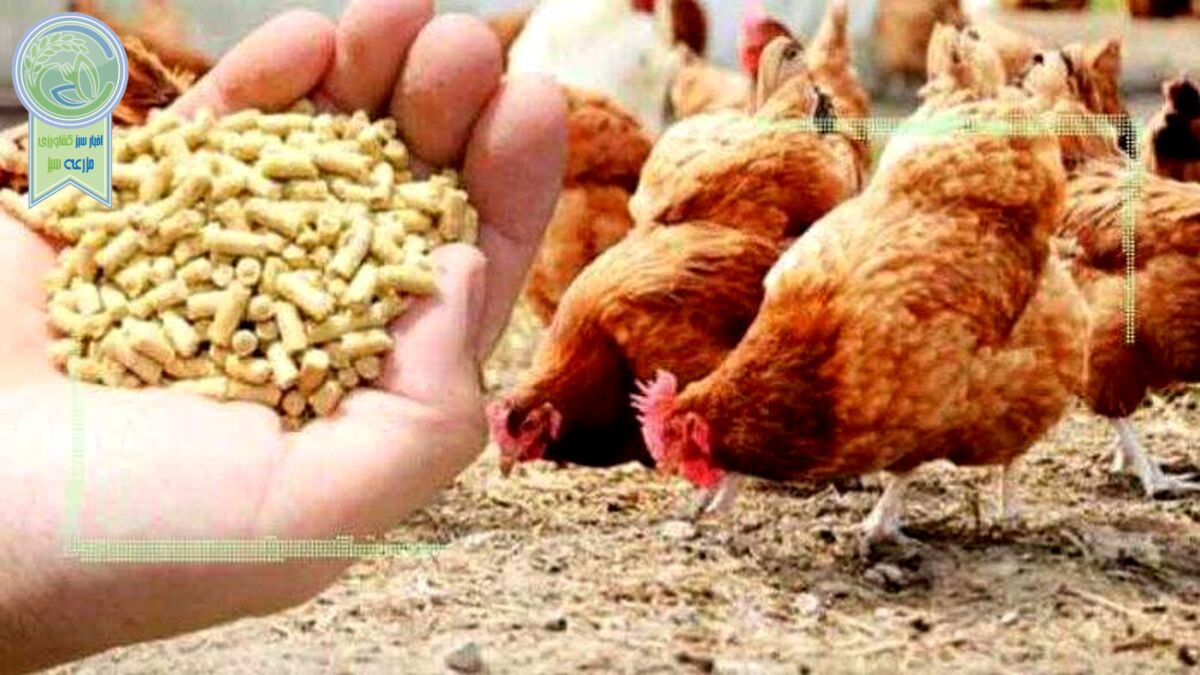 قیمت انواع نهاده های دامی و کشاورزی ۸ اسفند ۱۴۰۱