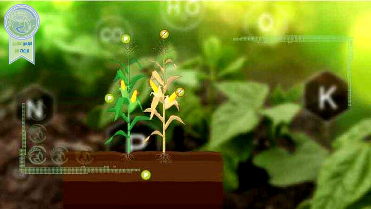 بحران غذای جهانی بدون فسفر
