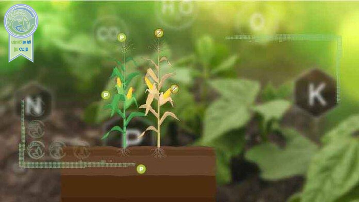 بحران غذای جهانی بدون فسفر
