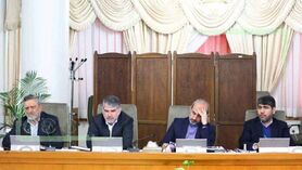 موافقت دولت با اصلاح اساسنامه شرکت شهرک‌های کشاورزی