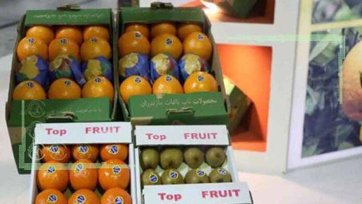 افزایش تجارت ایران و چین در بخش کشاورزی