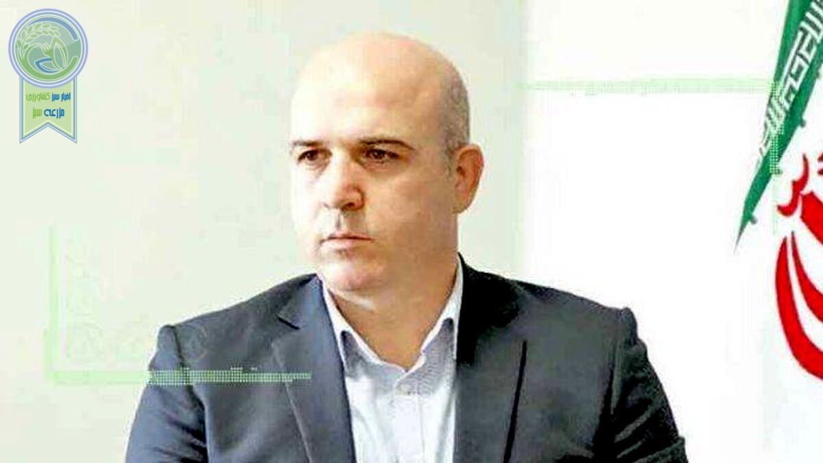 دبیرکل کانون صرافان: کاهش نرخ ارز ادامه خواهد داشت