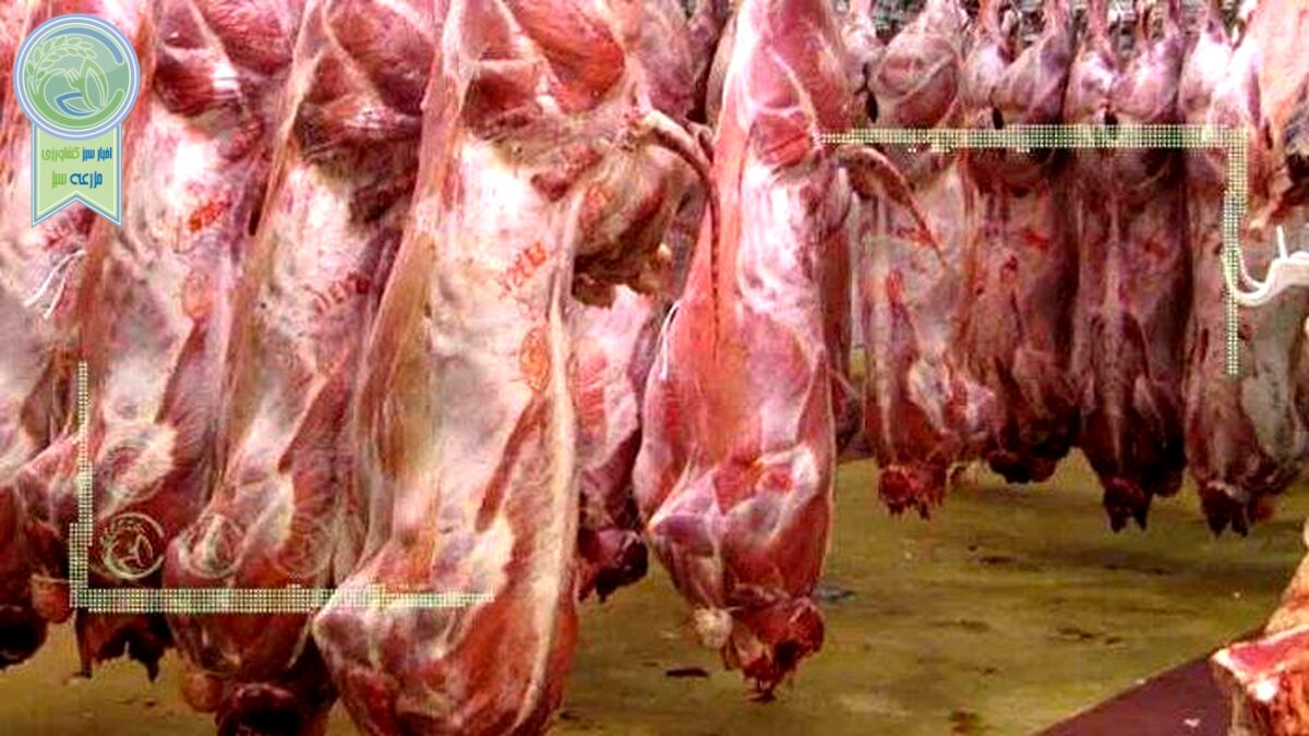 قیمت روز گوشت قرمز در ۲۱ اسفند ۱۴۰۱