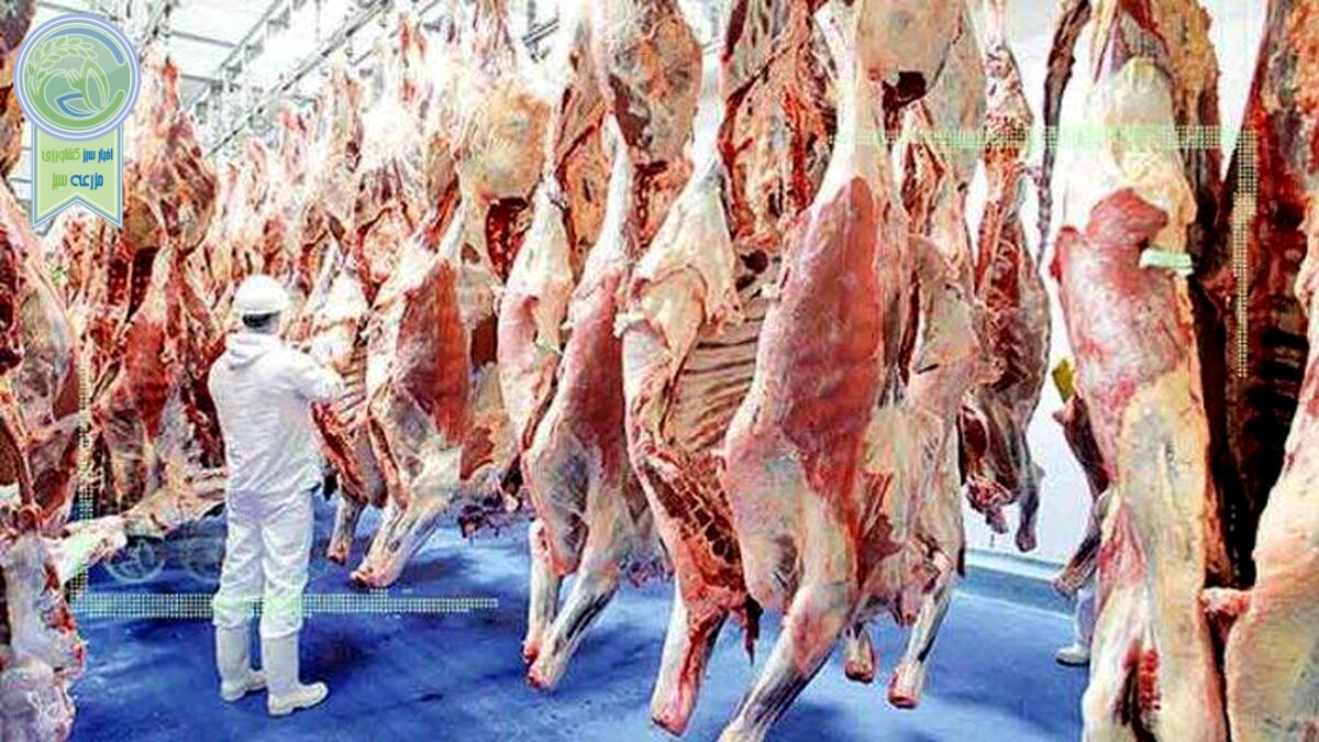 قیمت روز گوشت قرمز در ۲۷ اسفند ۱۴۰۱