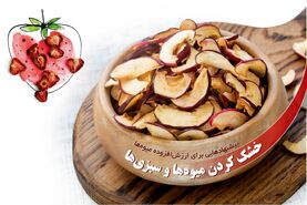 خشک کردن میوه‌ها و سبزی‌ها

