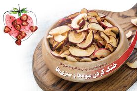 خشک کردن میوه‌ها و سبزی‌ها

