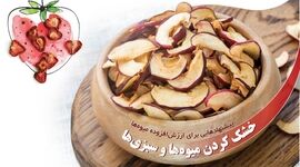 خشک کردن میوه‌ها و سبزی‌ها

