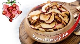خشک کردن میوه‌ها و سبزی‌ها

