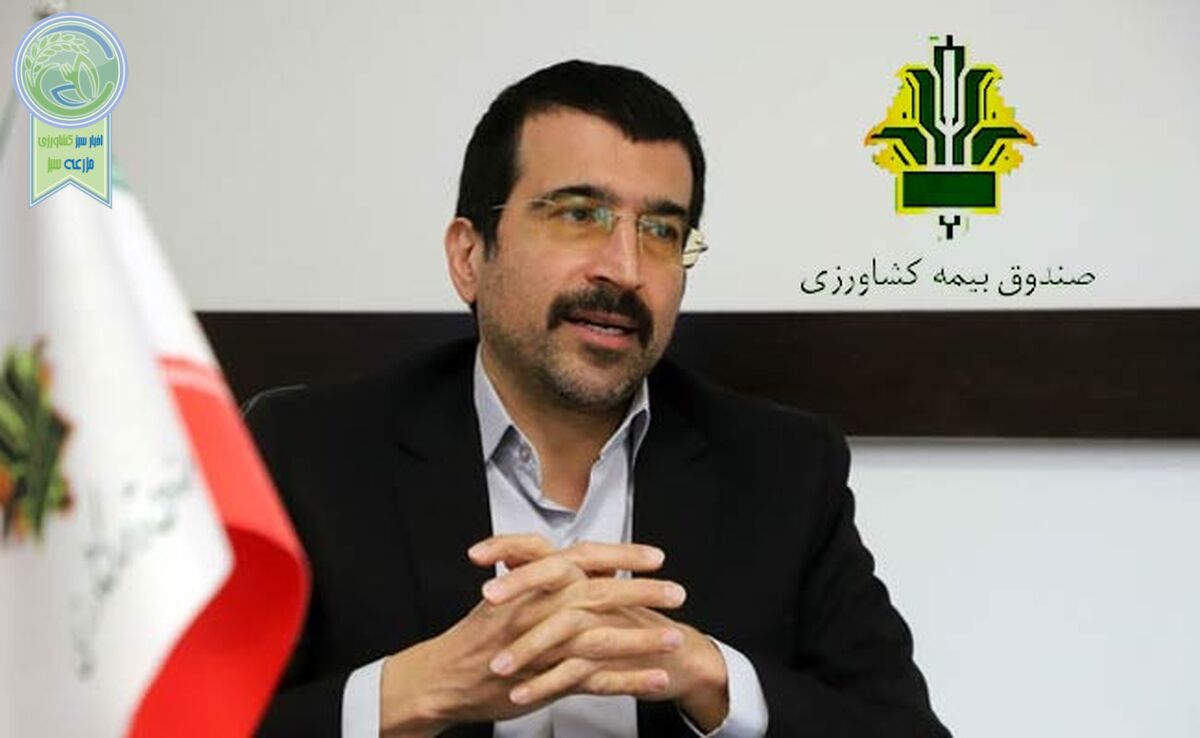 ایران؛ رتبه نخست بیمه آبزیان در جهان

