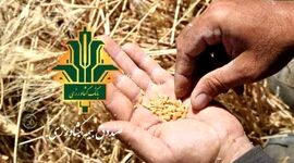 بیمه؛ بهترین محل برای پرداخت یارانه به کشاورزان