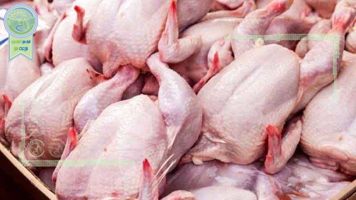 قیمت انواع مرغ در ۱۱ اردیبهشت ۱۴۰۲