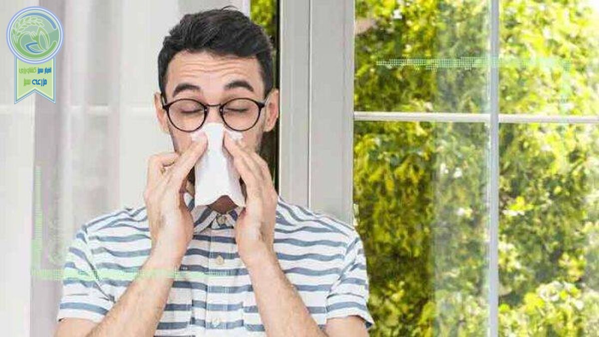 غذاهایی که آلرژی بهاری را کاهش می‌دهند