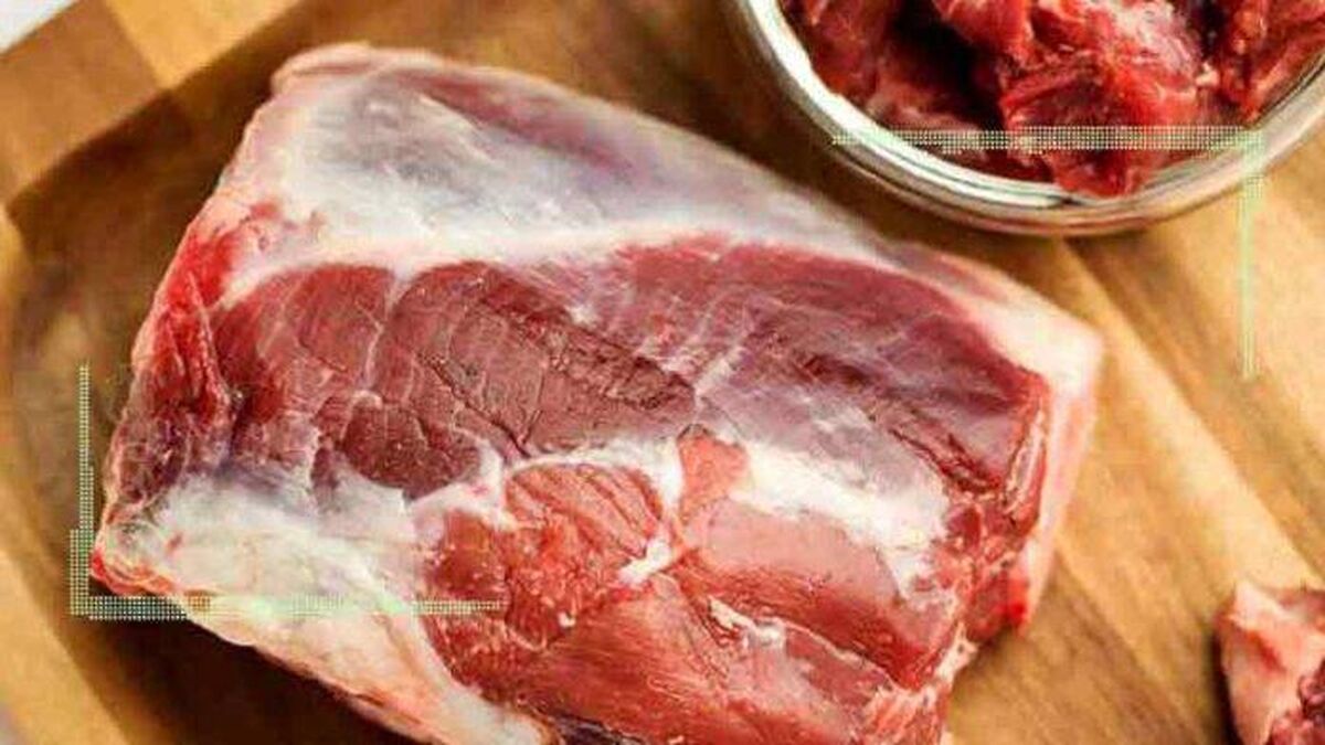 عرضه گوشت قرمز ۲۸۲ هزار تومانی